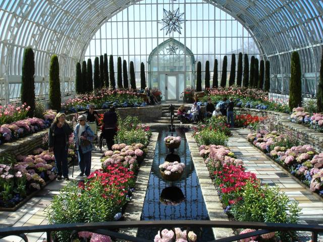 Resident Outing to the Conservatory