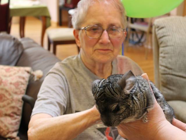 Pet Therapy Session at Heart to Home