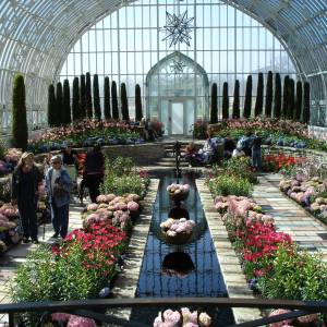 Resident Outing to the Conservatory