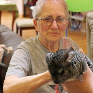 Pet Therapy Session at Heart to Home